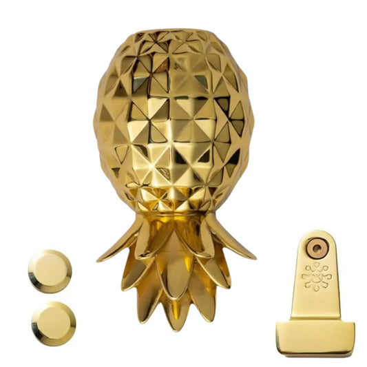 Pre-Order - Polly Pineapple Essential Set — Interchangeable Solid Brass Door Knocker